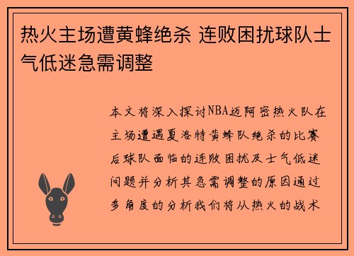 热火主场遭黄蜂绝杀 连败困扰球队士气低迷急需调整