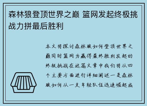 森林狼登顶世界之巅 篮网发起终极挑战力拼最后胜利
